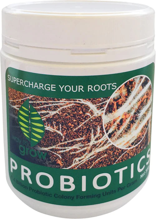 Probiotics - Legana Plants Plus