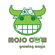 Mojo Cow