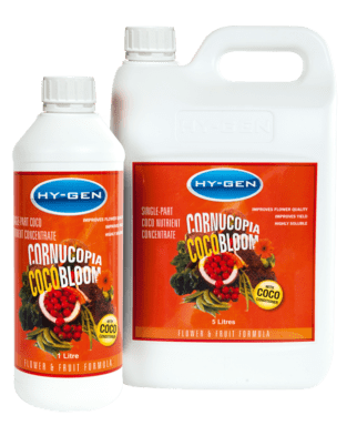 HY-GEN Cornucopia Bloom - Legana Plants Plus